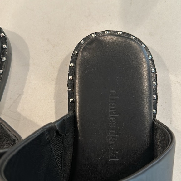 Charles David Sandals - Picture 2 of 3